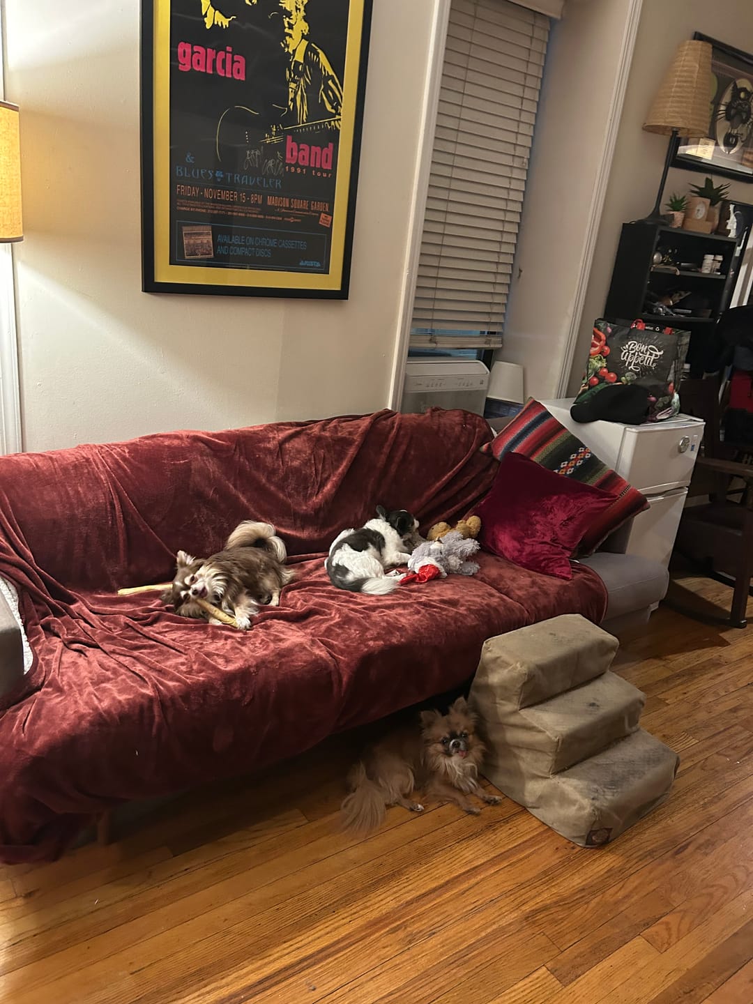 Customer photo review of Waterproof Splash Blanket™ - Passion The OG