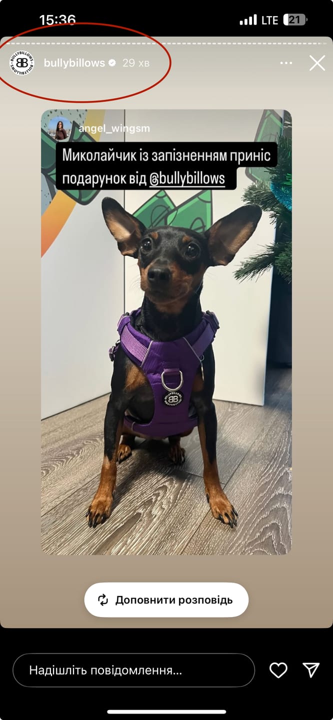 Customer photo review of Air Harness | Anti-Pull & With Handle - Purple
