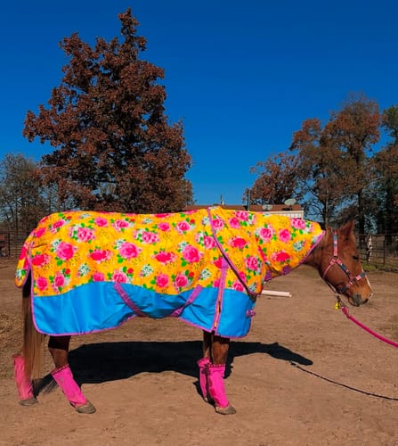 Customer photo review of Country Garden Turnout Rug