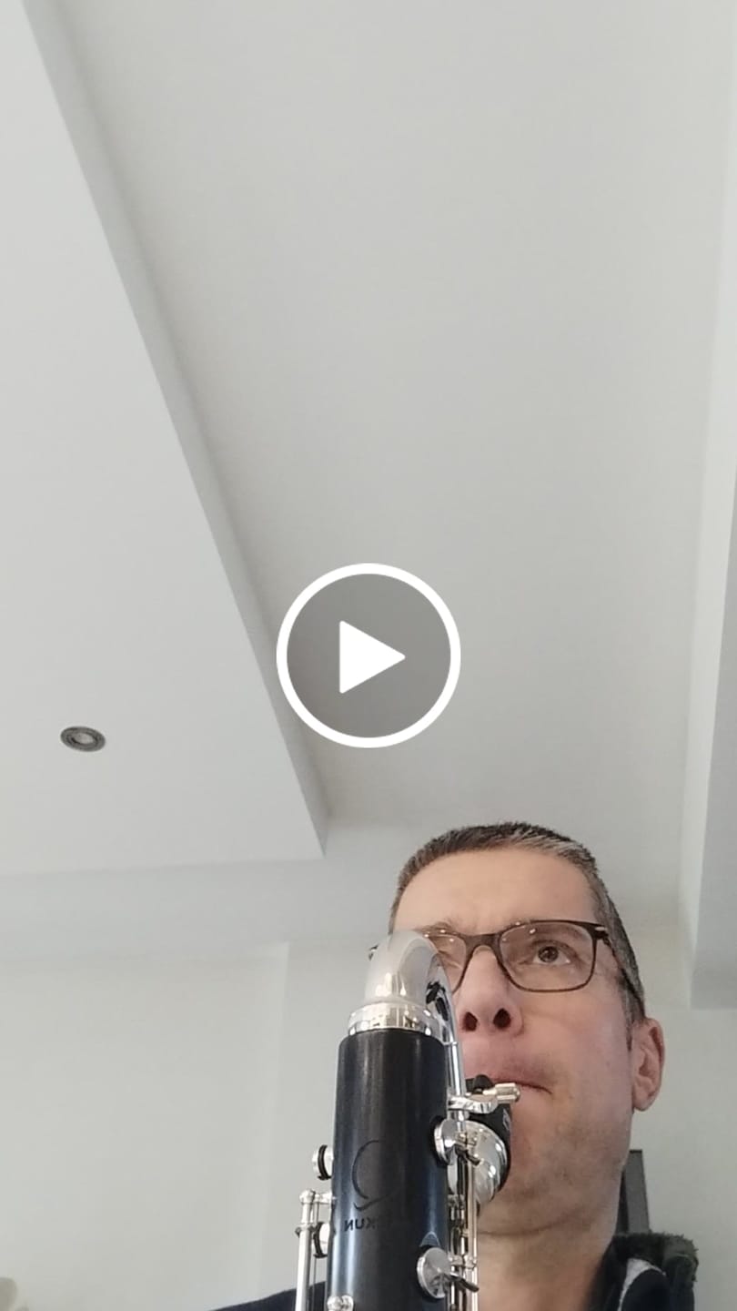 Customer video review of Q Series Bass Clarinet