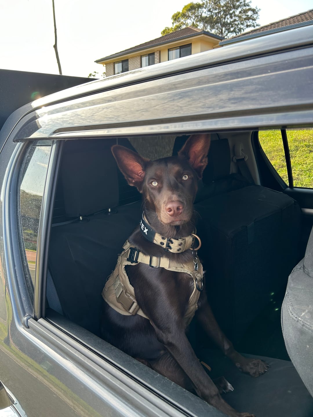 Customer photo review of Full Tactical Kit