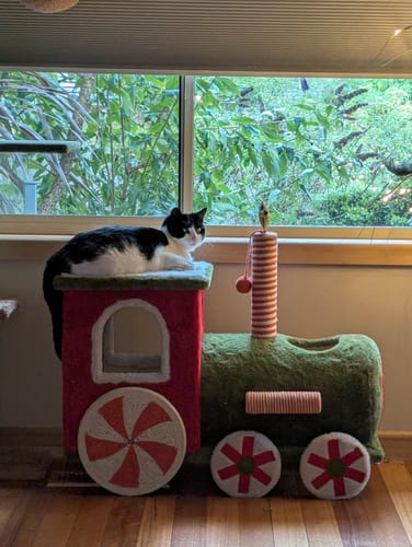 Customer photo review of ZeZe Christmas Train Cat Climbing Frame and House Large Cat Toy