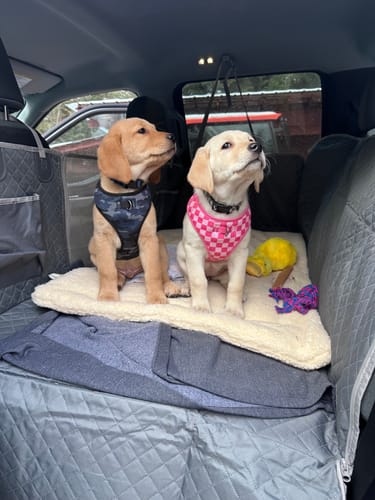 Customer photo review of NEW Waterproof Hard Bottom Car & Truck Seat Foldable Hammock Cover With Storage Pockets, Side Flaps, Headrest Straps, Seat Anchors, & Mesh Window (+FREE SAFETY BELT!)