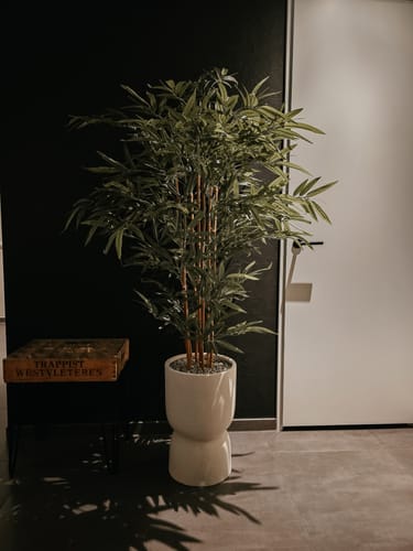 Customer photo review of Bamboe Kunstplant 180 cm