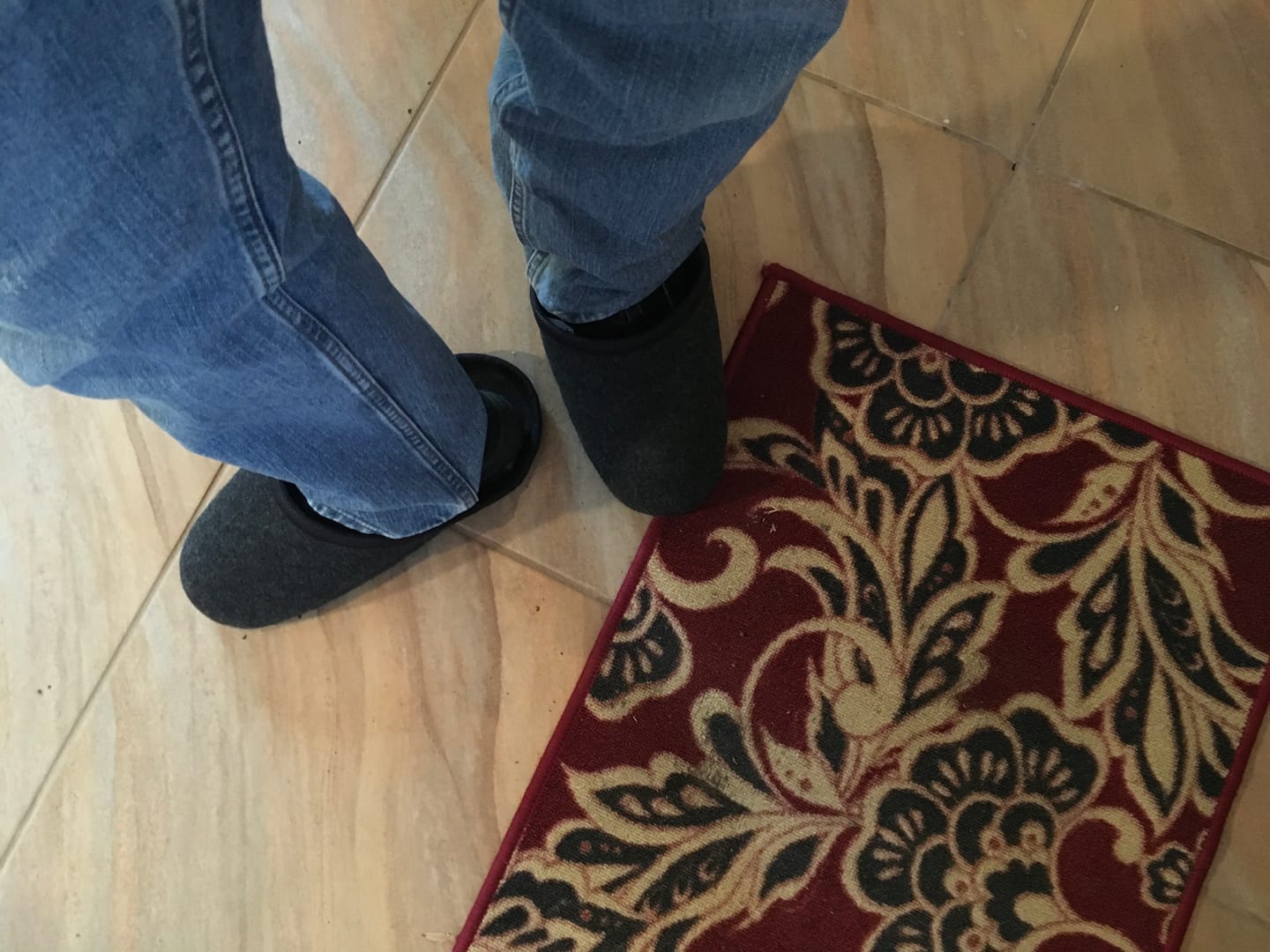 Customer photo review of Indoor Overshoes