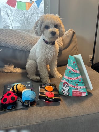 Customer photo review of 3-Pack Novelty Small Plush Toys!