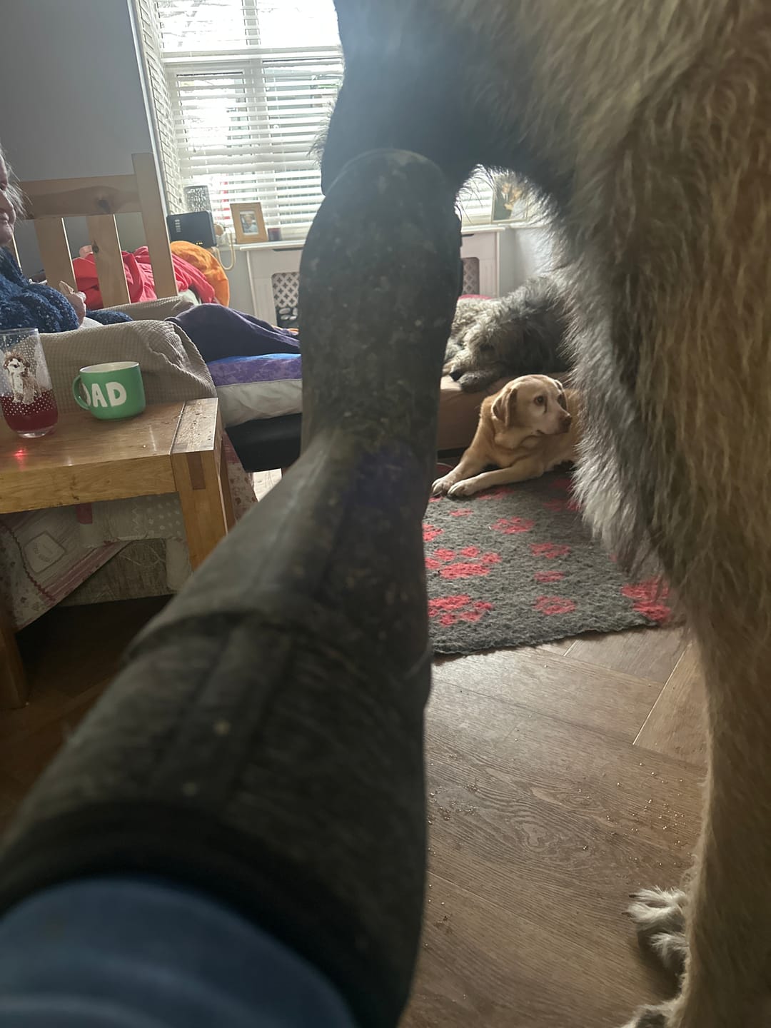 Customer photo review of Women's Arctic Ice Vibram AG All Terrain Tall Boots