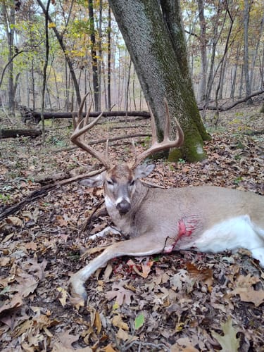 Customer photo review of THE .5 HANG-ON