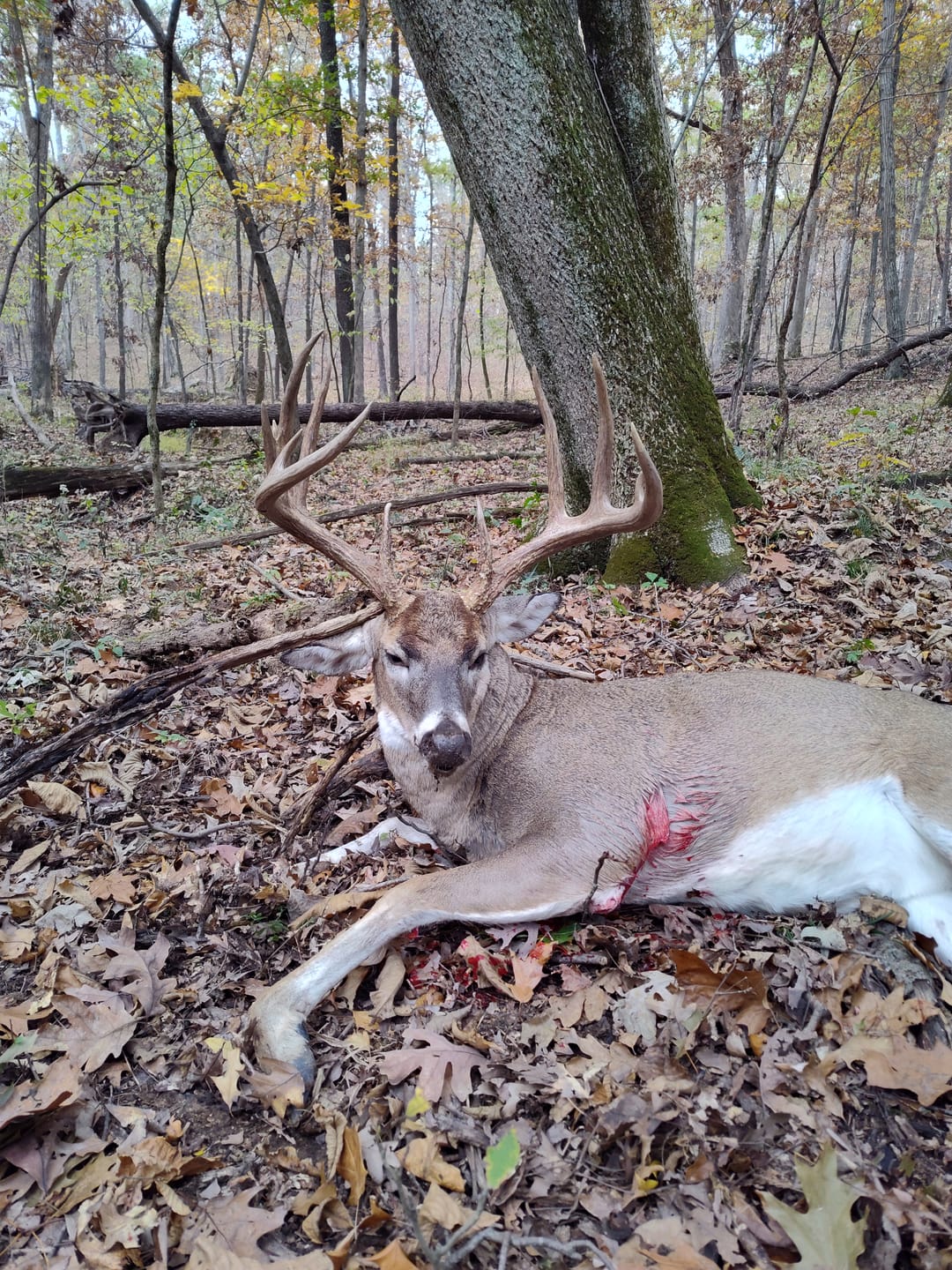 Customer photo review of THE .5 HANG-ON