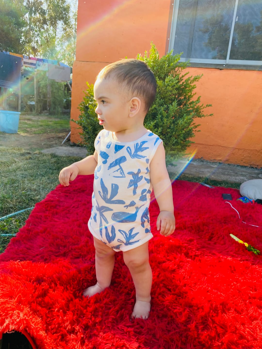 Customer photo review of Set 5 bodys de algodón niño musculosa