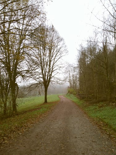 Customer photo review of NUVINT - Digitalkamera