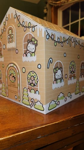 Customer photo review of Gingerbread Holiday Advent Calendar