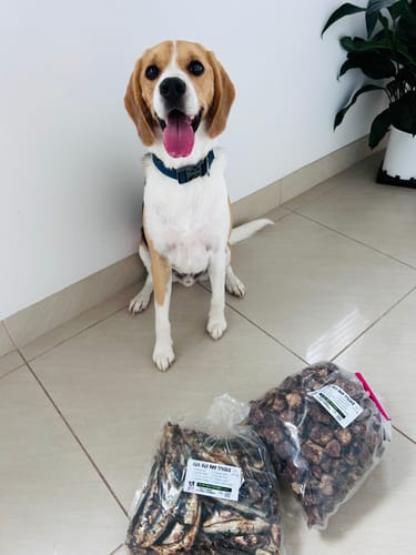 Customer photo review of Aussie Beef Puffs (High value treats)