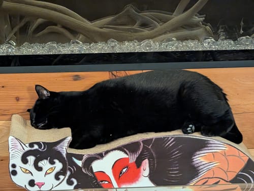 Customer photo review of Ningyo Cat Scratcher