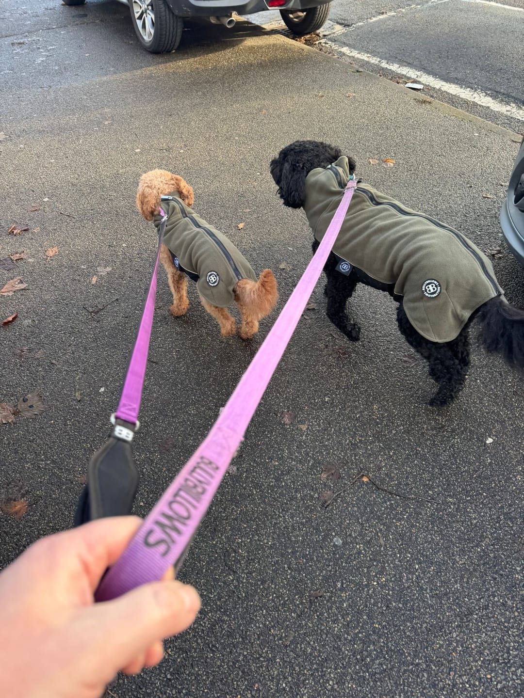 Customer photo review of Dog Fleece With Zip - Khaki