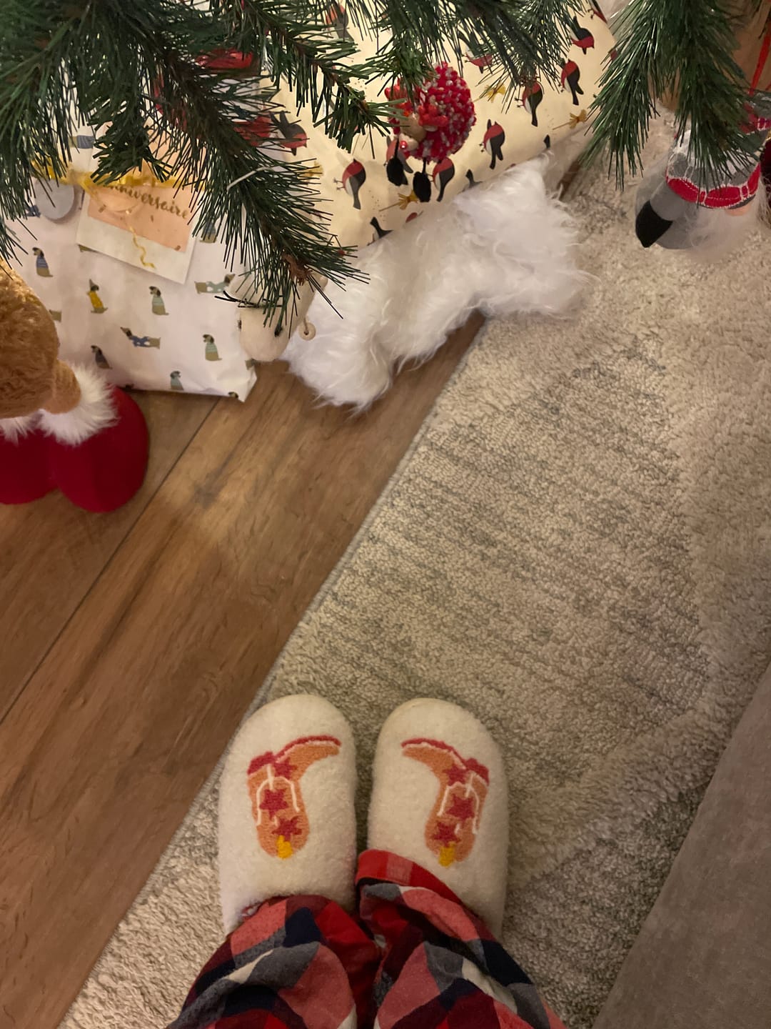 Customer photo review of Cowboy Boots Slippers