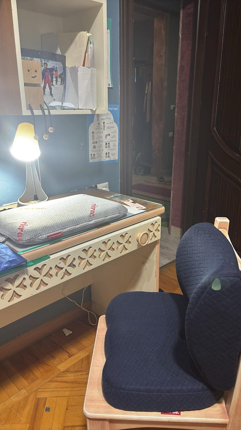 Customer photo review of Back Support Pillow - Rolo
