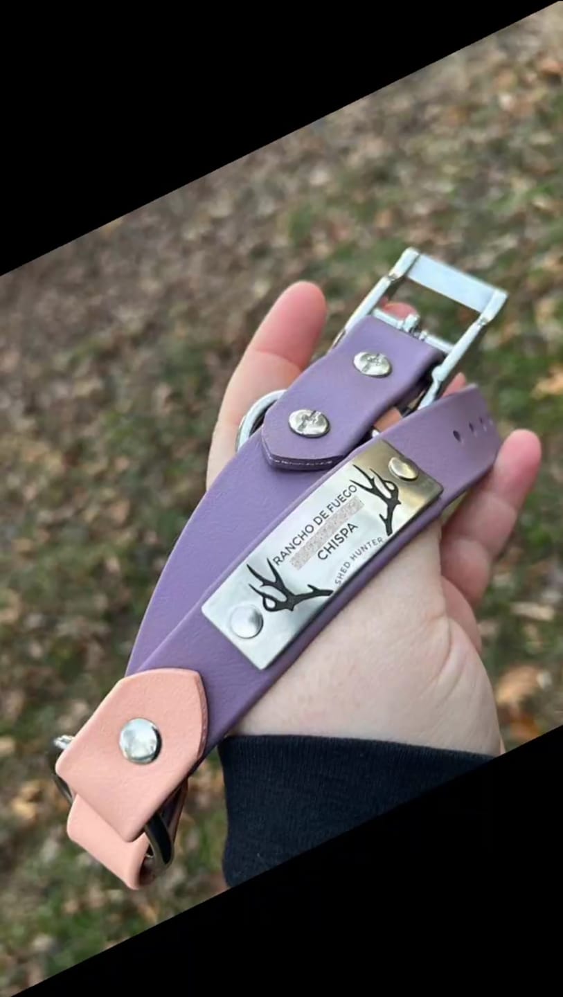 Customer photo review of Designer Rivet-On Tag