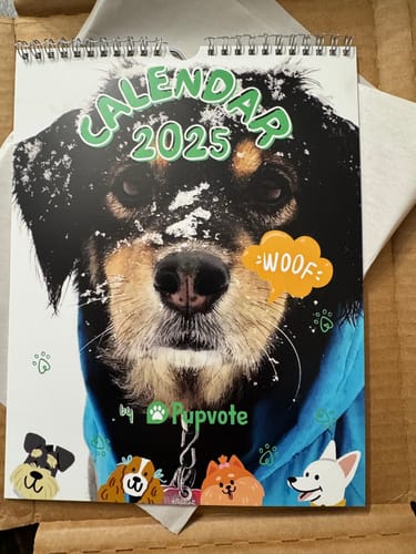 Customer photo review of PUPVOTE: 2025 Cutest Pet Calendar (Official Edition)