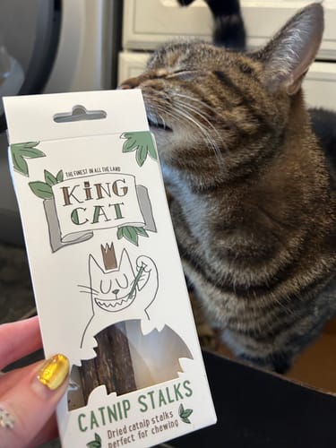 Customer photo review of King Catnip Dental Sticks Cat Toy