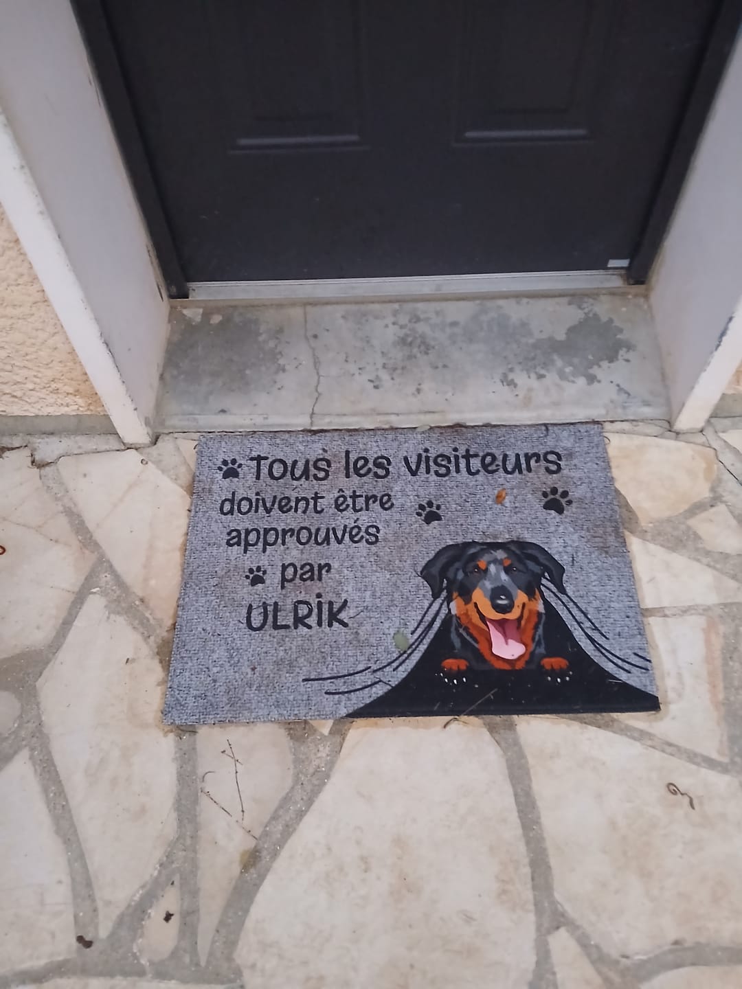 Customer photo review of Visiteur approuvé - Paillasson personnalisé