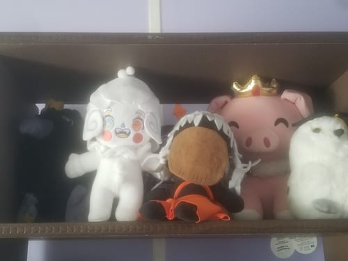 Customer photo review of Jam Clown Mascot Plushie