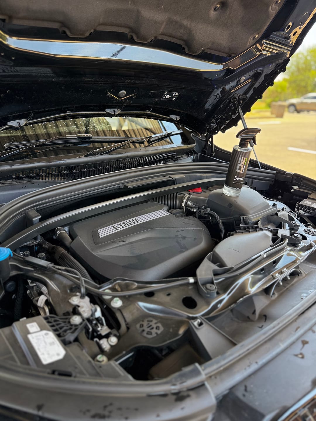 Customer photo review of Refresh - Scented Interior Detailer