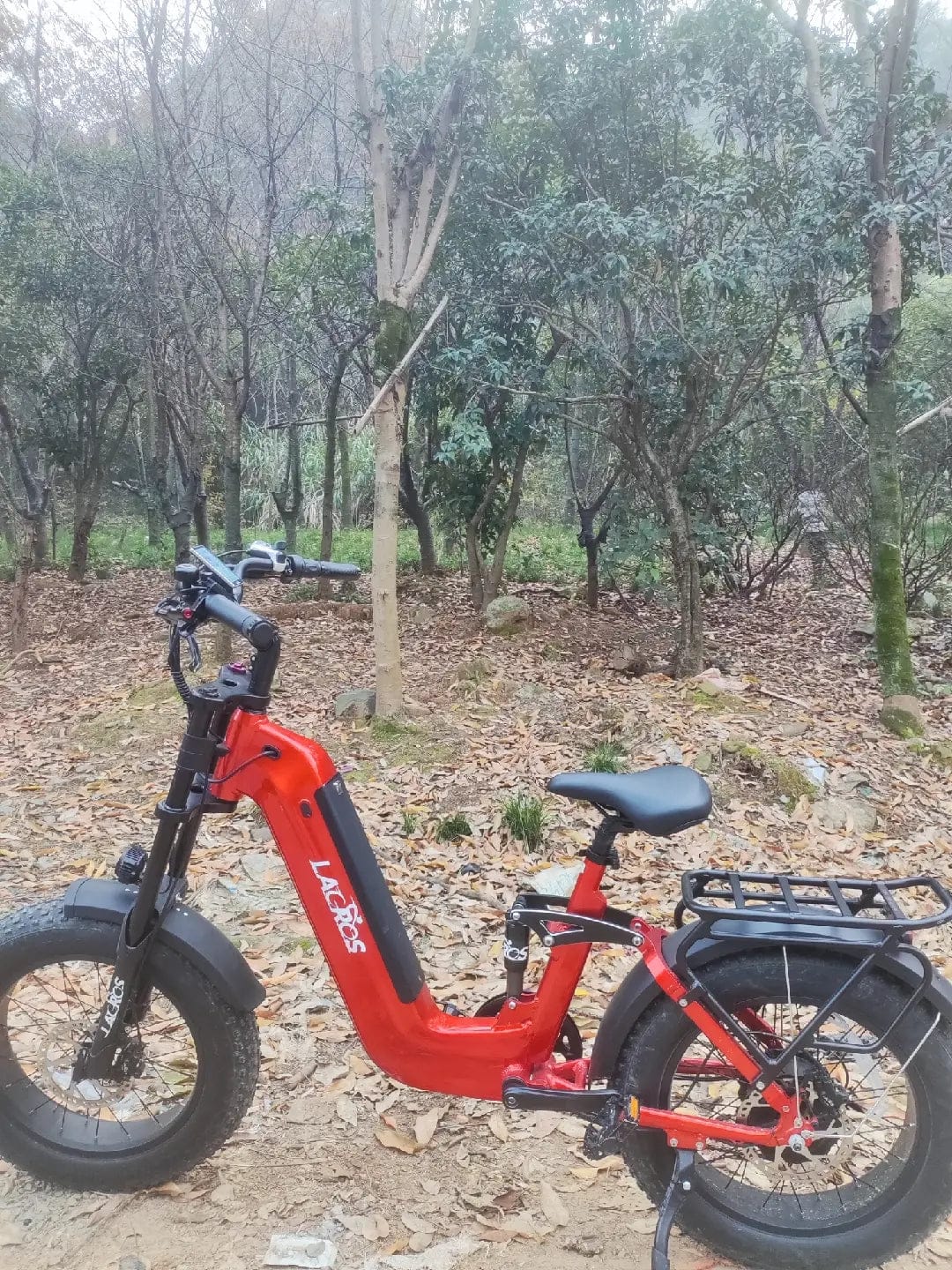 Customer photo review of Cyclone