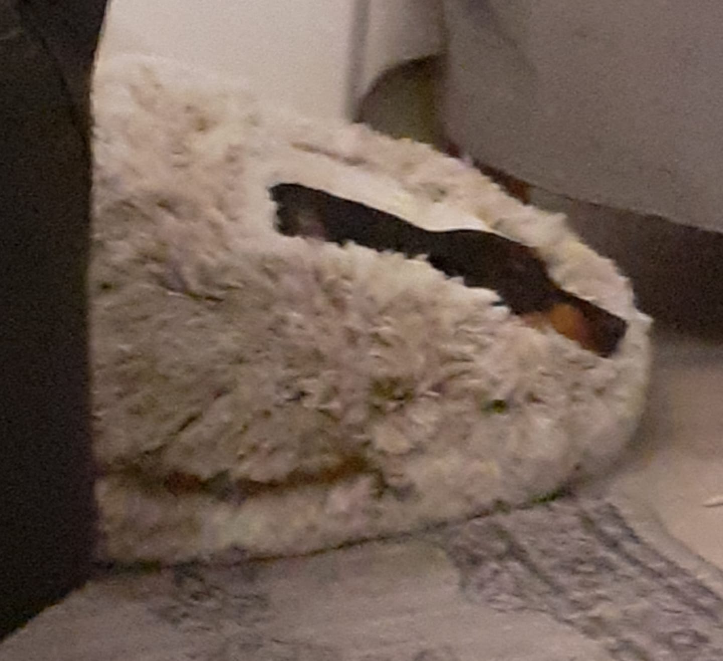 Customer photo review of CozyCave™ Suojaisa peti lemmikeille