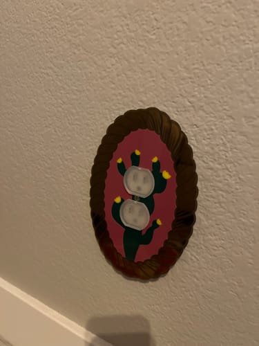 Customer photo review of Cactus Bloom Outlet Cover