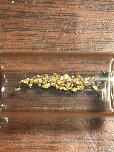 Customer photo review of 10 Lb. JACKPOT PAYDIRT™ Gold Paydirt Unsearched