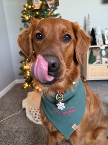 Customer photo review of Custom Saying Embroidered Bandana