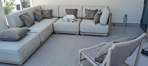 Customer photo review of 60*60 PILLOW With Zipper  -  Concha182-Brown