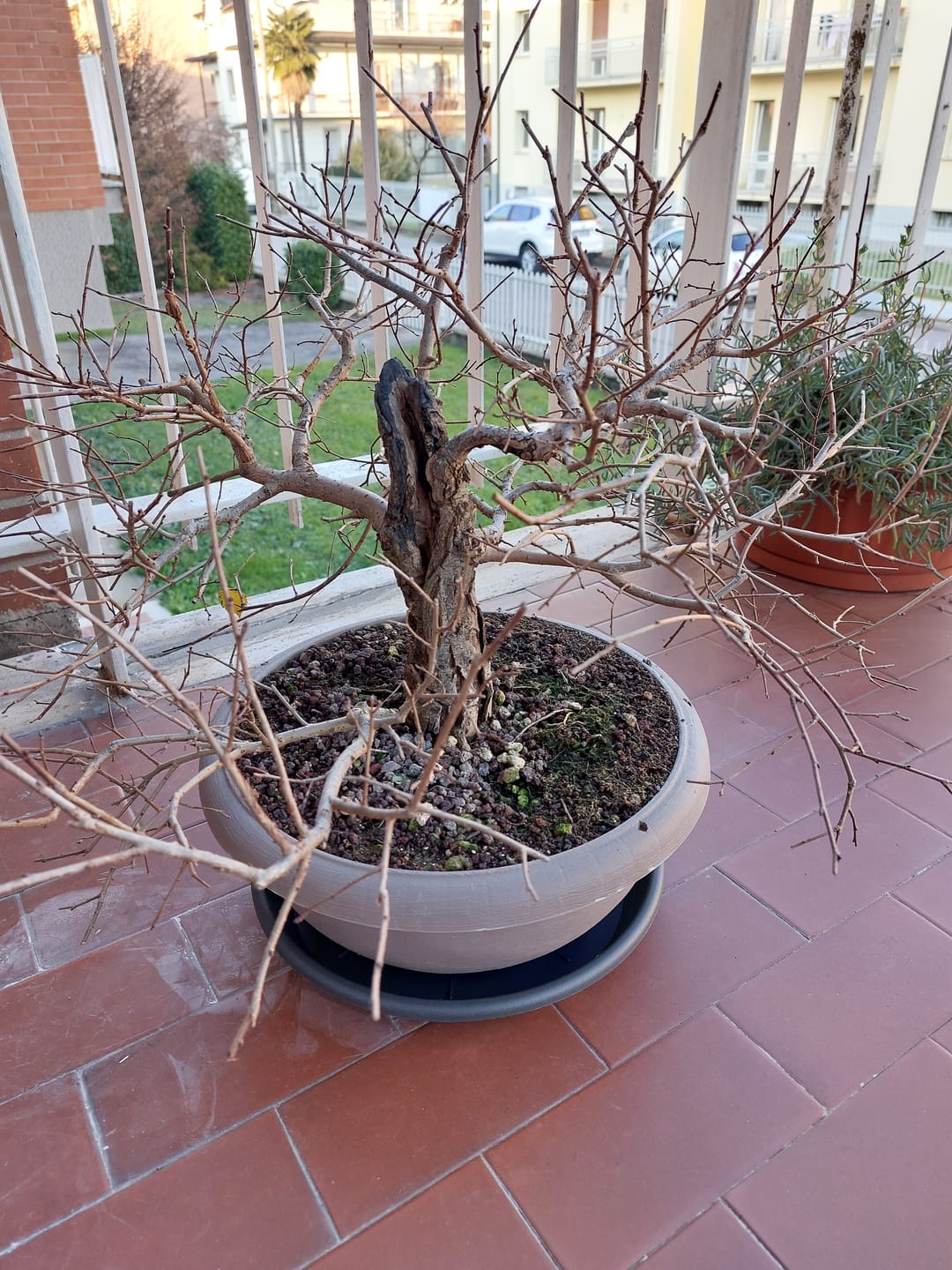 Customer photo review of CHERNOBYL CB® (Autunno Nucleare 2.0)
