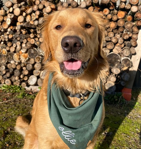 Customer photo review of Custom Saying Embroidered Bandana