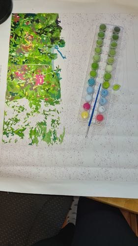 Customer photo review of Paint by Numbers Custom Kit