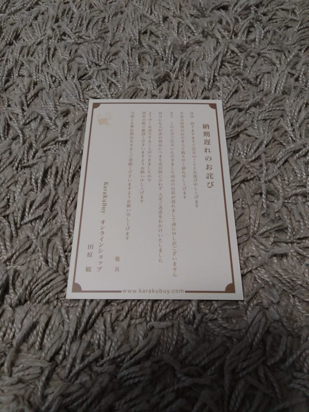 Customer photo review of Cleanfit　赤ヒモ付き　刺繍入りオックスフォード長袖シャツ