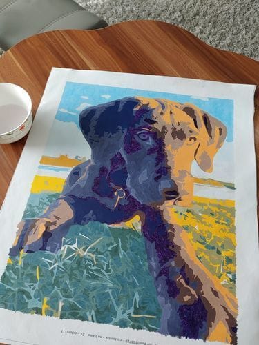 Customer photo review of Paint by Numbers Custom Kit