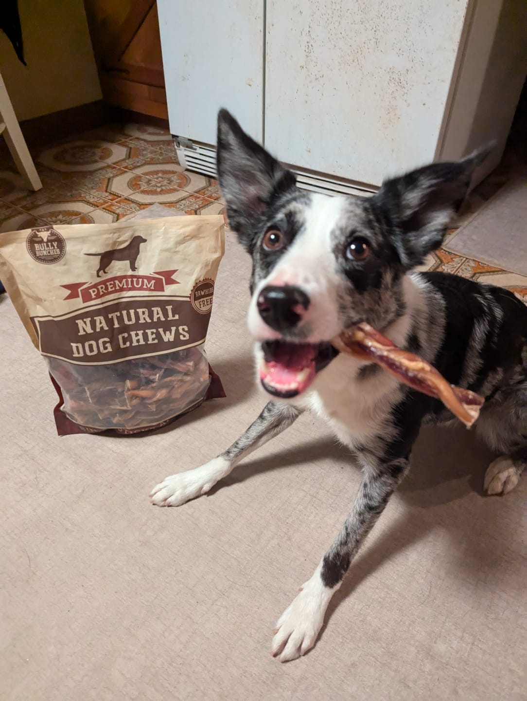 Customer photo review of Bully Bargain Bag