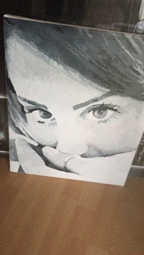 Customer photo review of Paint by Numbers Custom Kit