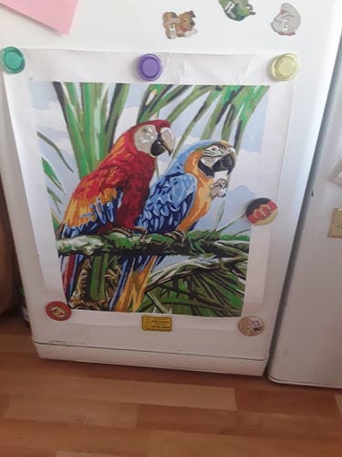 Customer photo review of Paint by Numbers Custom Kit
