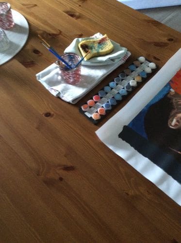 Customer photo review of Paint by Numbers Custom Kit