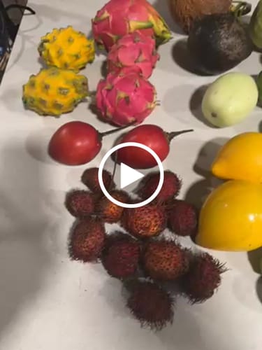 Customer video review of Tropical Variety Box