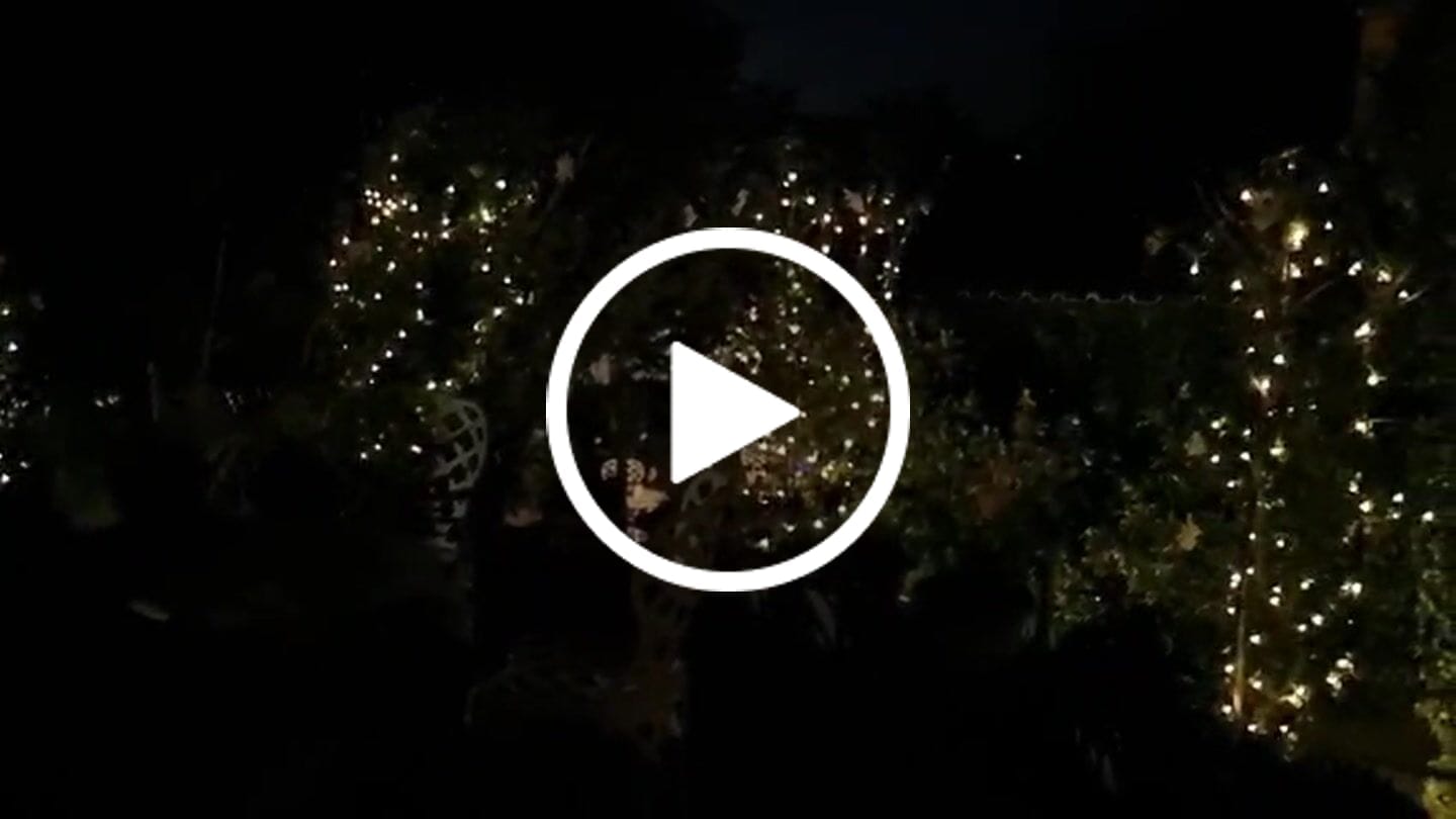 Customer video review of Solar Mini Bulb String Lights - Black