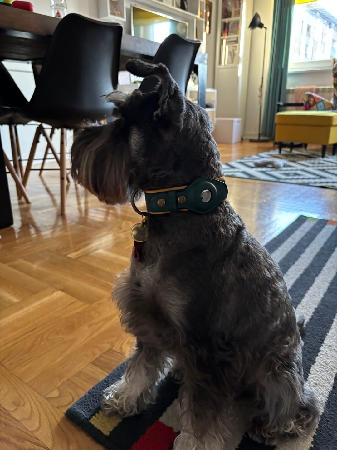 Customer photo review of Keepaws™ Leather AirTag Collar