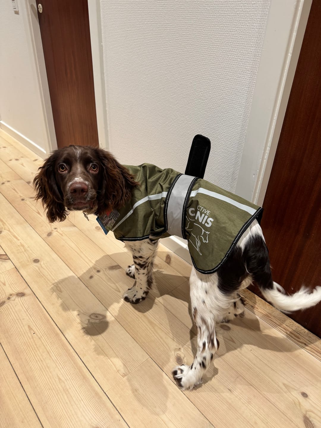 Customer photo review of Active Canis - 2-i-1 Hundejakke, khaki