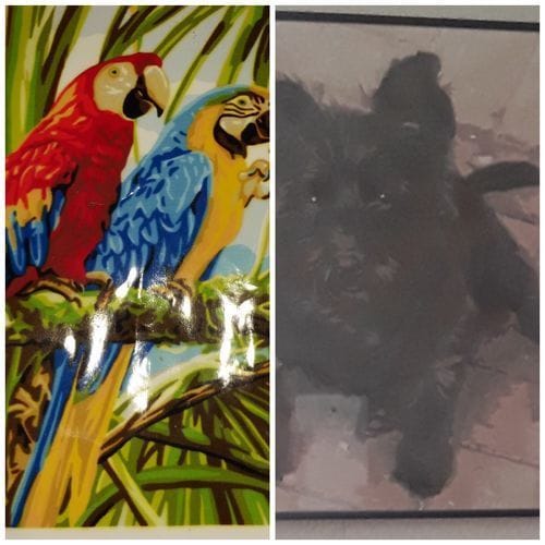 Customer photo review of Paint by Numbers Custom Kit