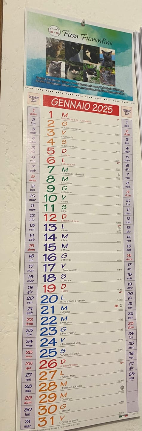 Customer photo review of Calendario Slim