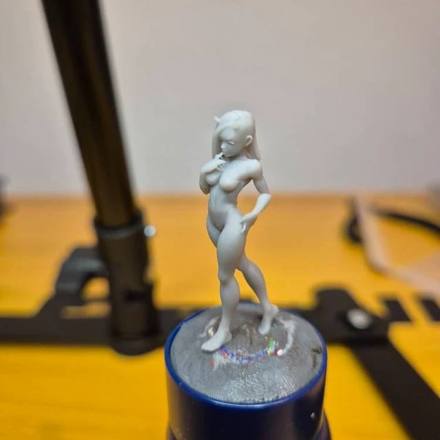 Customer photo review of Succubus Girl