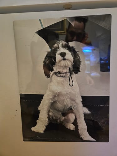 Customer photo review of 1. Your Customized Photo